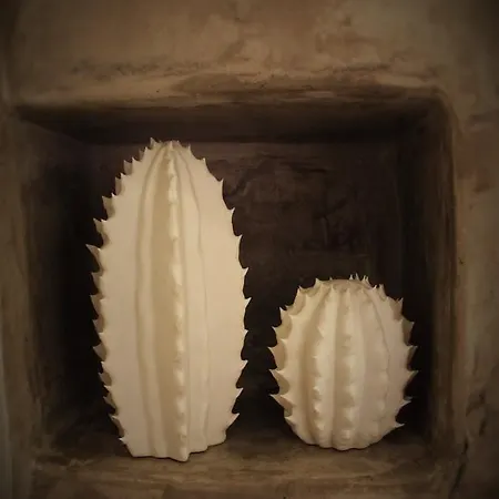 Divine * Puerto del Carmen (Lanzarote)